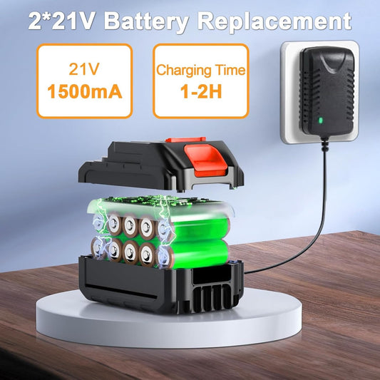 Jet Blower with Charger & 2 x Battery